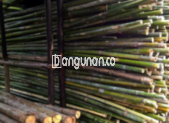 Jual Bambu Steger di Prabumulih [Terdekat]