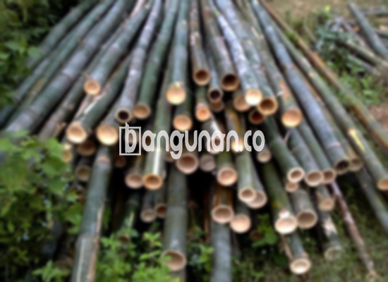 Jual Bambu Steger di Jagakarsa Jakarta [Terdekat]