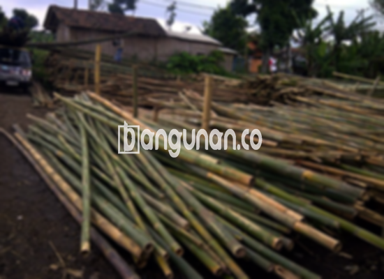 Jual Bambu Steger di Parung Panjang [Terdekat]