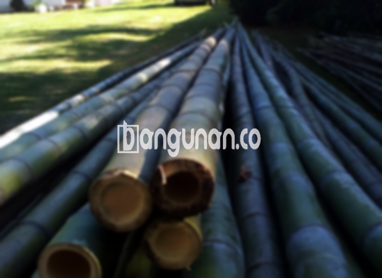 Jual Bambu Steger di Purwasari Karawang [Terdekat]