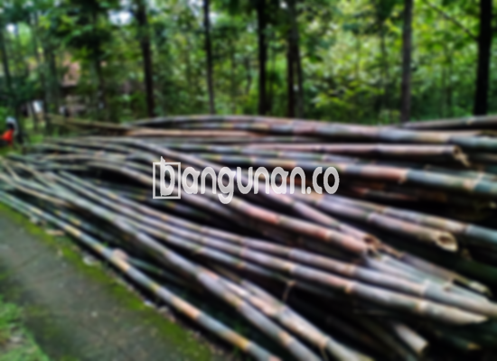 Jual Bambu Steger di Jatiluhur Purwakarta [Terdekat]