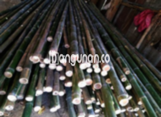 Jual Bambu Steger di Kramat Jakarta [Terdekat]