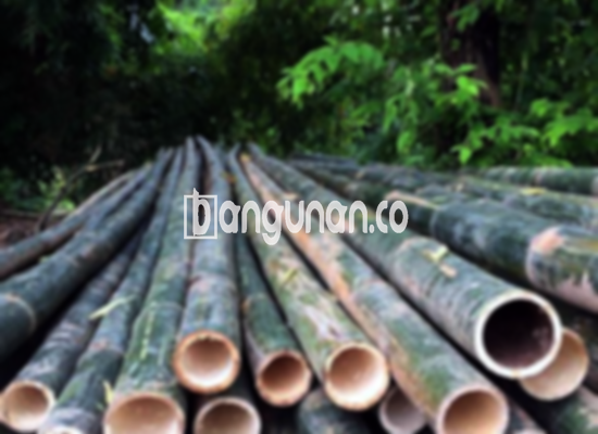 Jual Bambu Steger di Kutawaluya Karawang [Terdekat]