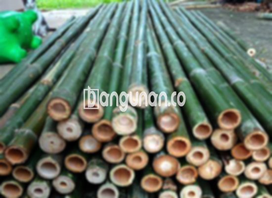 Jual Bambu Steger di Pengadegan Jakarta [Terdekat]