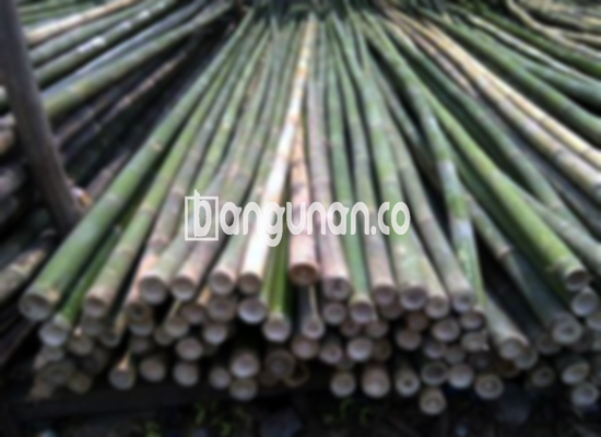 Jual Bambu Steger di Papanggo Jakarta [Terdekat]