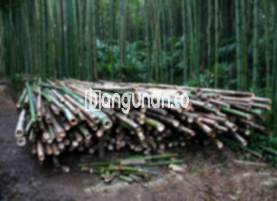 Jual Bambu Steger di Pulo Gadung Jakarta [Terdekat]