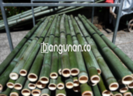 Jual Bambu Steger di Kademangan [Terdekat]