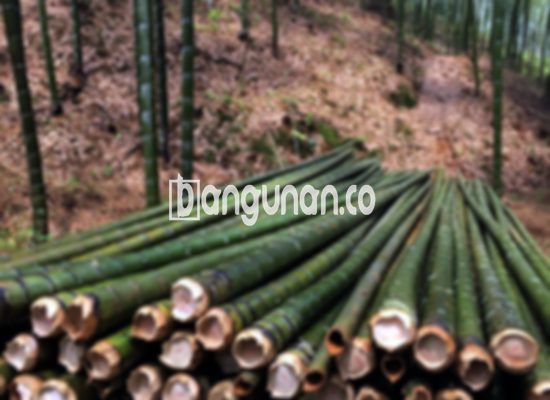 Jual Bambu Steger di Batujaya Karawang [Terdekat]