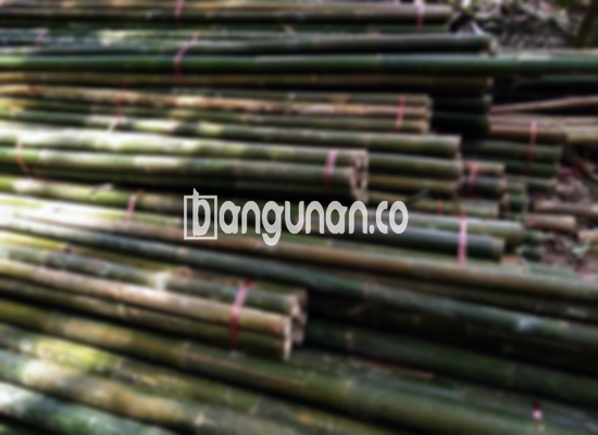 Jual Bambu Steger di Menteng Bogor [Terdekat]