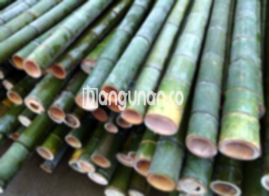 Jual Bambu Steger di Megamendung [Terdekat]