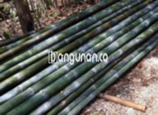 Jual Bambu Steger di Kedung Badak Bogor [Terdekat]