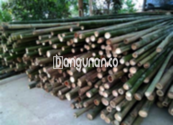 Jual Bambu Steger di Bojongmangu Bekasi [Terdekat]