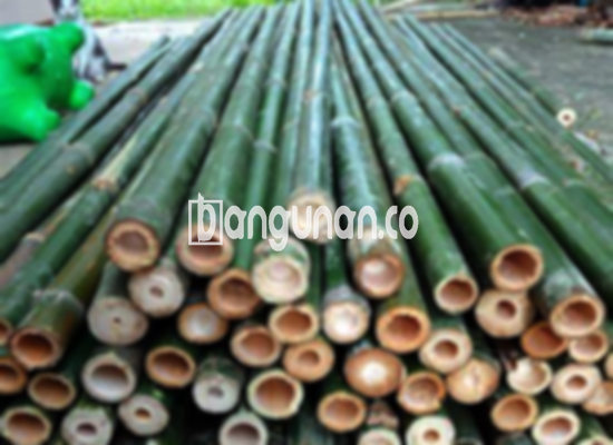 Jual Bambu Steger di Jati Pulo Jakarta [Terdekat]