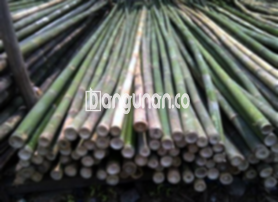 Jual Bambu Steger di Kedung Waringin Bogor [Terdekat]