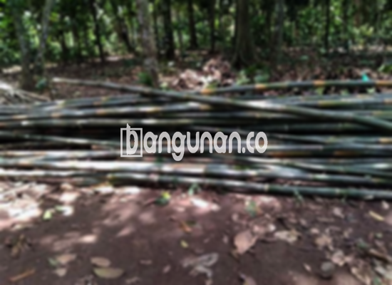 Jual Bambu Steger di Cilodong Depok [Terdekat]