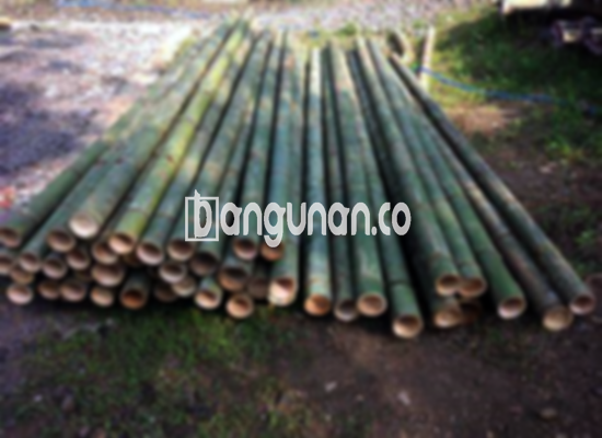 Jual Bambu Steger di Sukaraja [Terdekat]