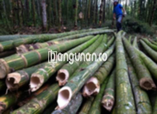Jual Bambu Steger di Gunung Sahari Jakarta [Terdekat]