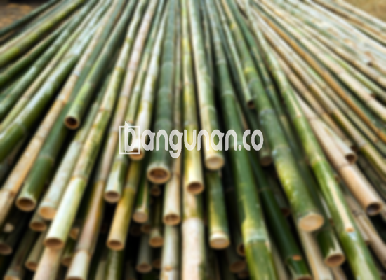 Jual Bambu Steger di Cilamaya Karawang [Terdekat]